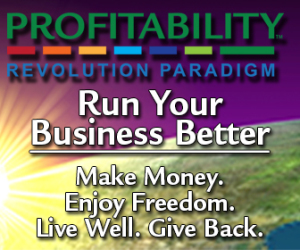 Profitability Revolution Paradigm Rectangle 336x280